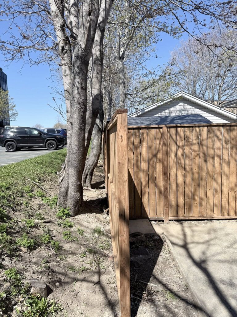 Privacy fence 2